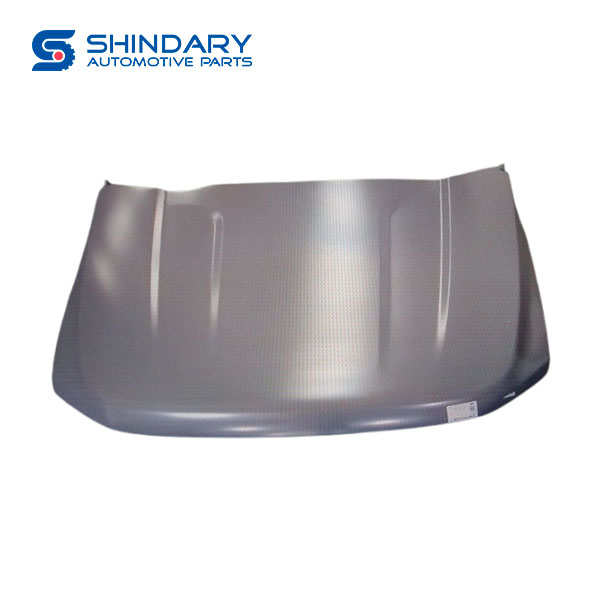Hood assy EPP6-16612-AA-78 for JMC GRAND AVENUE