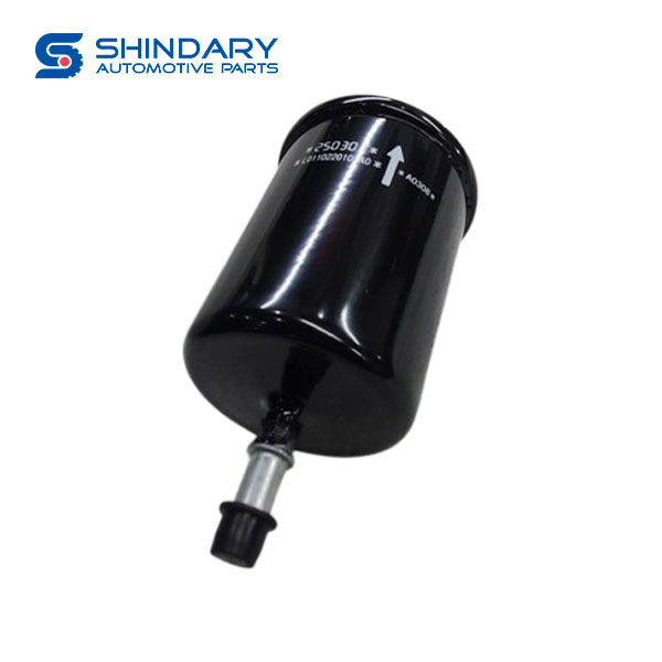 Gasoline filter FL0110220101A0W0276 for FOTON Gratour