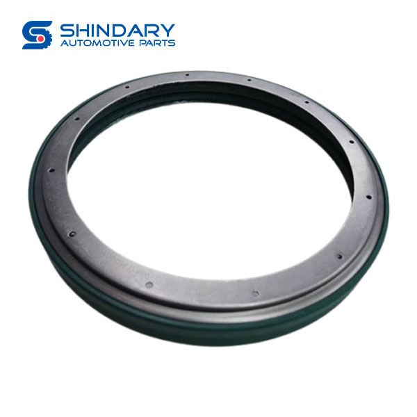 Hub oil seal HD90129341473 for SHACMAN