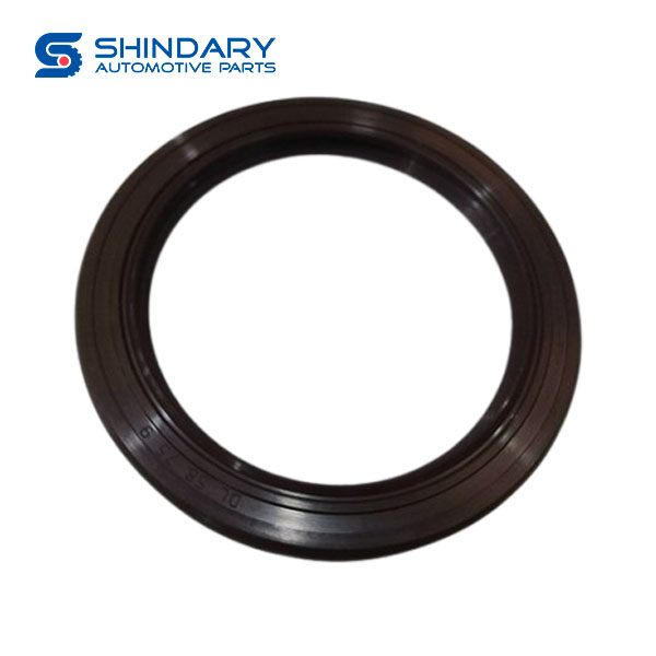 Oil seal on the back cover M-1703406 for JAC CAMION 1048