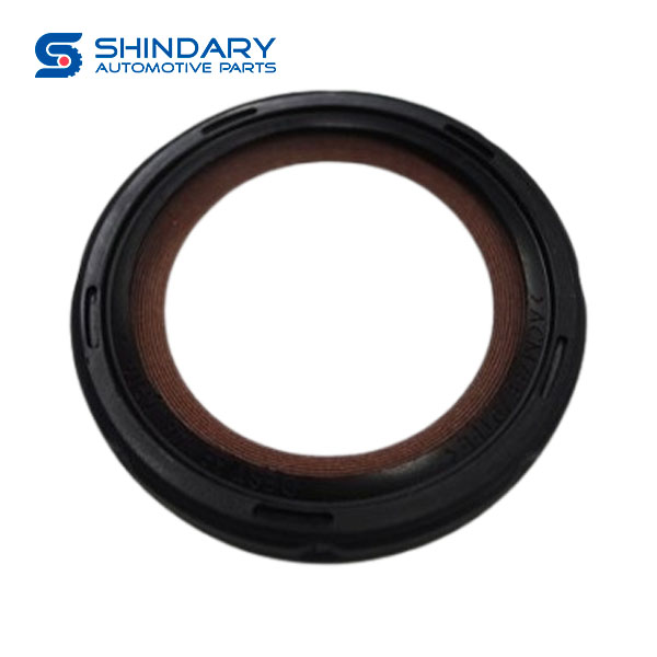 Front oil seal assy of crankshaft PV10001466 for FOTON TUNLAND G7