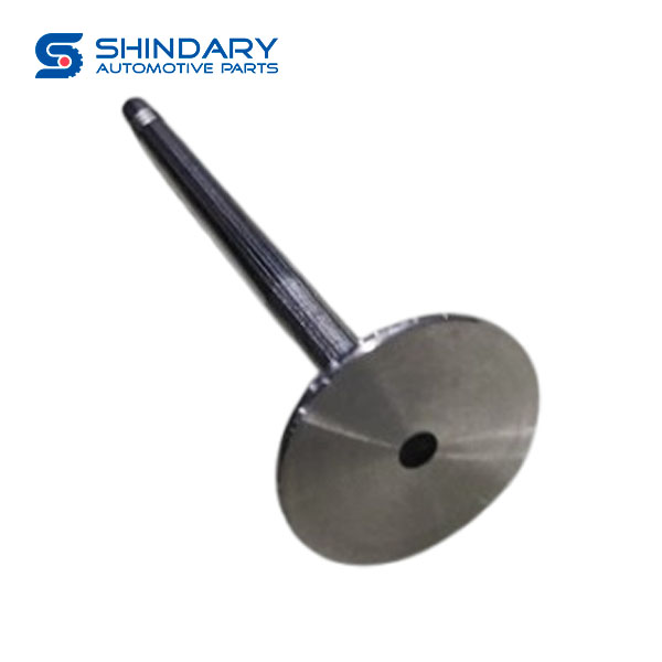 Exhaust valve PV10001496 for FOTON