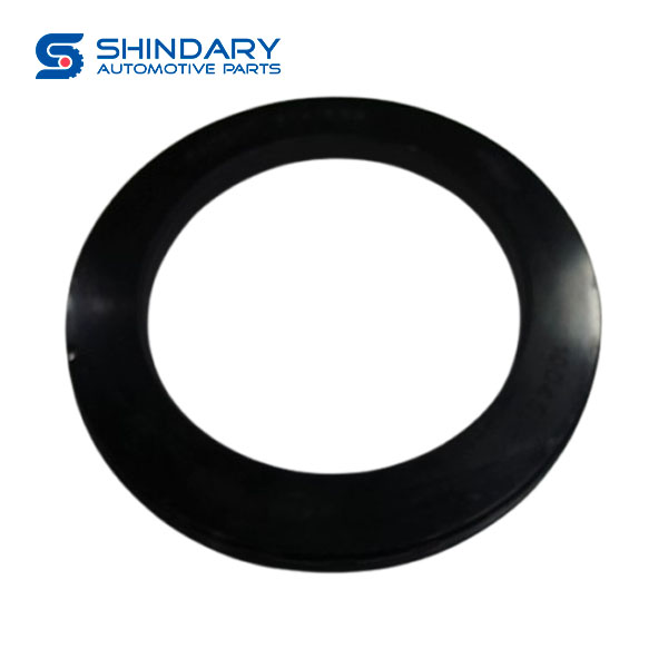 Oil seal QT469S122-3104310 for FOTON