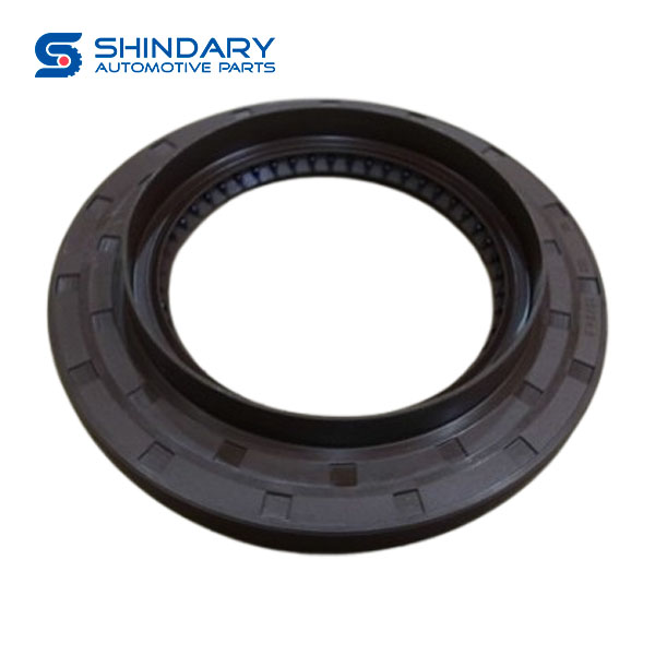 Main cone oil seal SQ2402055Z100 for FAW CA4181