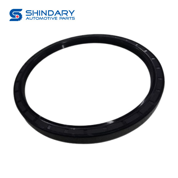 Shaft sealing ring WG9003074387 for SINOTRUK RETENES