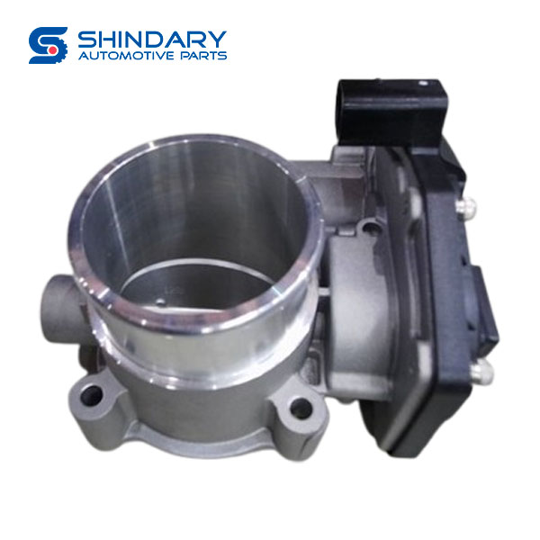 Throttle body assy ZD20T5-1107020 for ZNA RICH 6
