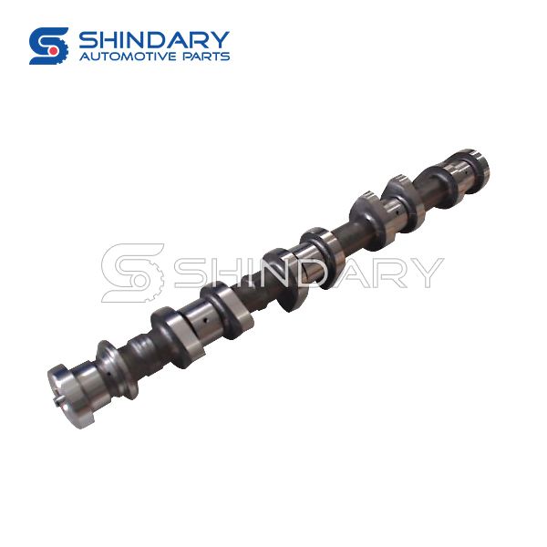 Camshaft assy (exhaust) for JAC S3 1006030GH010