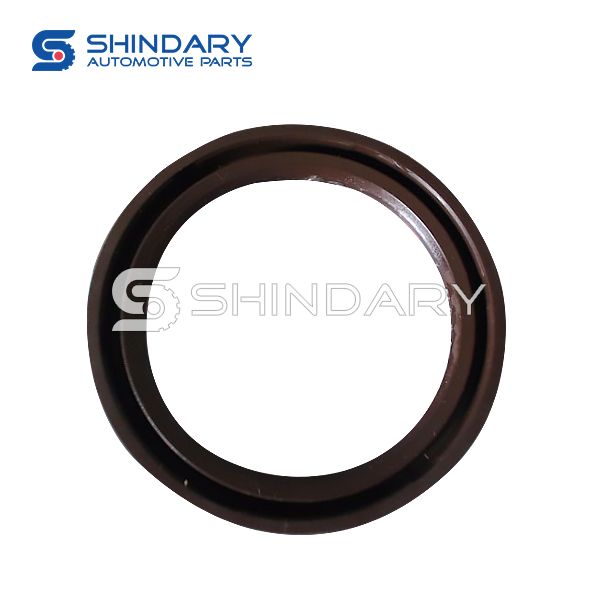 Crankshaft front seal for CHANA STAR PICKUP(MD201) 1000600-H01