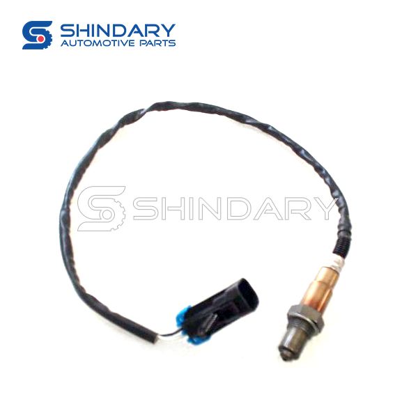 After the oxygen sensor for JAC J5 1206100U2010