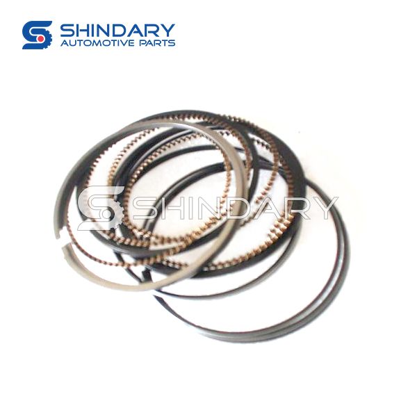 Piston ring kit for CHANA STAR PICKUP(MD201) EA004-0100