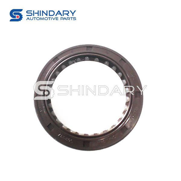 Crankshaft front seal for CHANGAN EADO H15007-1000