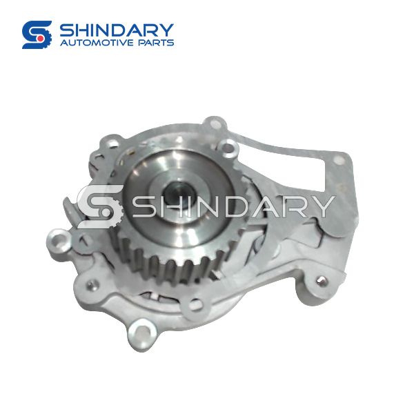 Water pump 484J-1307010 for CHERY TIGGO