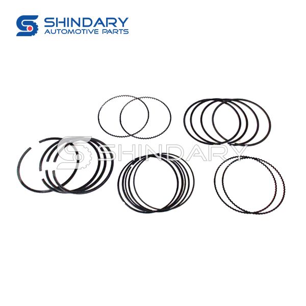 Piston ring kit 1004015GC for JAC Refine S5