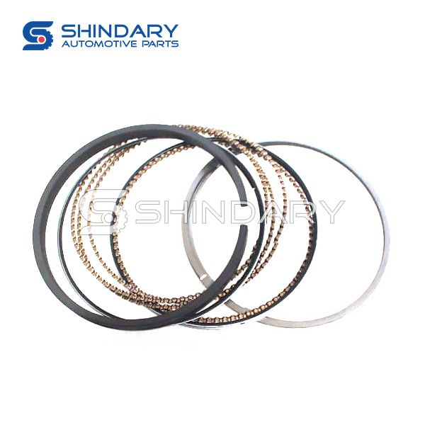 Piston ring kit 1004024gg010 for JAC S3