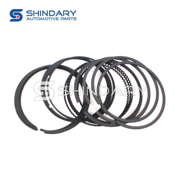 Piston ring kit 1004200GCZJ for JAC Refine S5