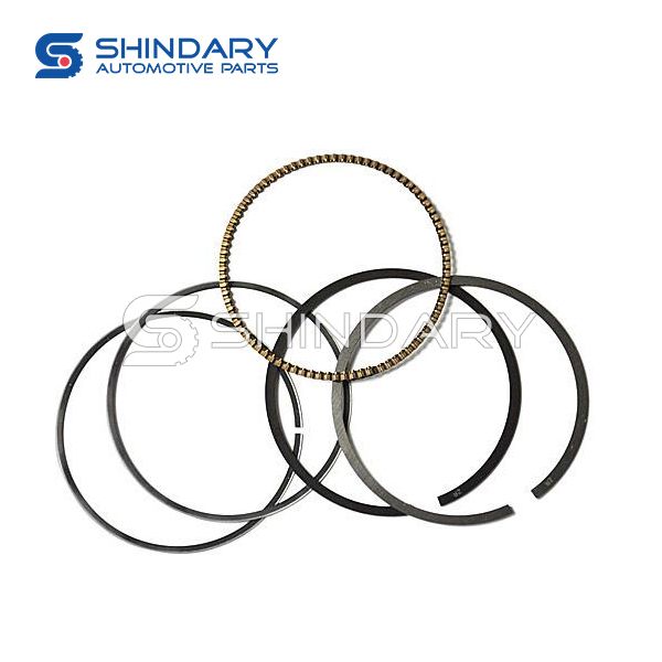 Piston ring kit S1110B619 for GREAT WALL H5