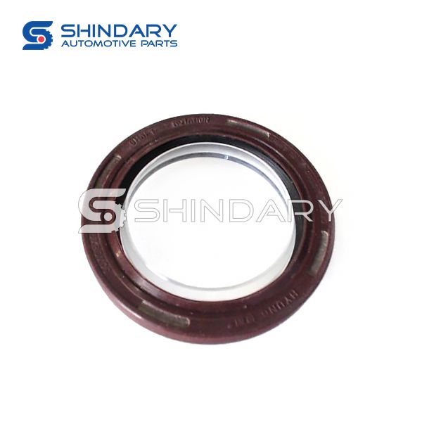 Crankshaft Front Seal 1002420FA for JAC Refine MPV 2.8