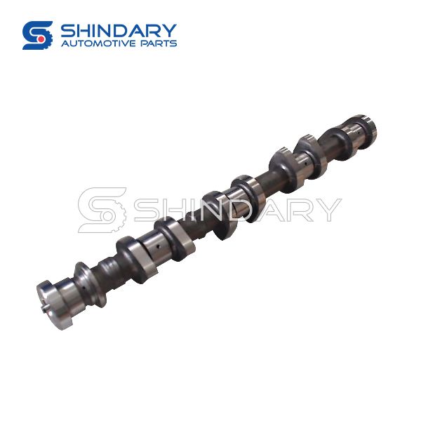 Camshaft assy (exhaust) 1006030GH010 for JAC S2