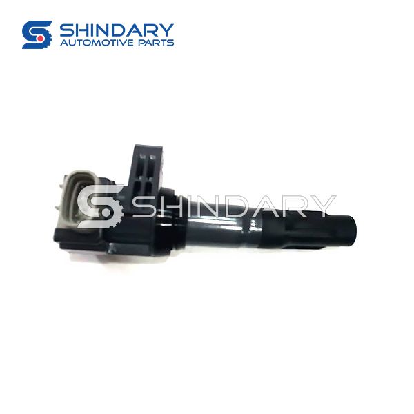 IGNITION COIL 10204809-00 for BYD 