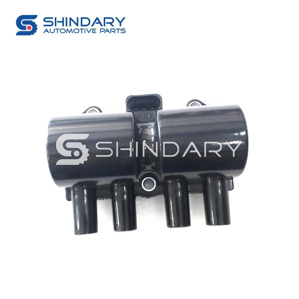 IGNITION COIL SMW250131 for ZX AUTO 