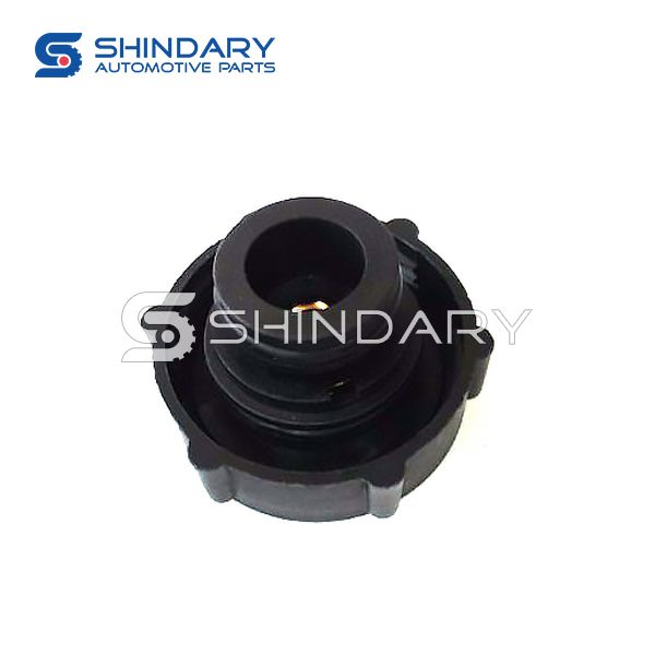 TAPA DEPOSITO RADIADOR S13110010-D2 for JAC SUNRAY