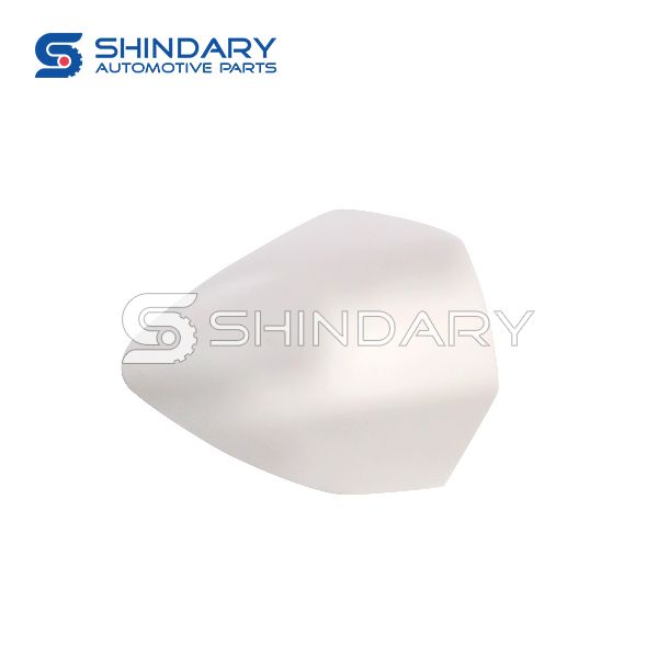 Decorative cover,outer unlock handle right B000494 for DFM AX4