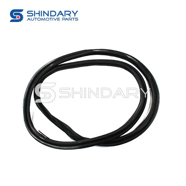 Tail door frame seal B000843 for DFM AX4