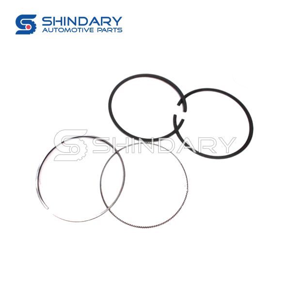 Piston ring subassembly E049303000032&3&4 for FOTON Aumark