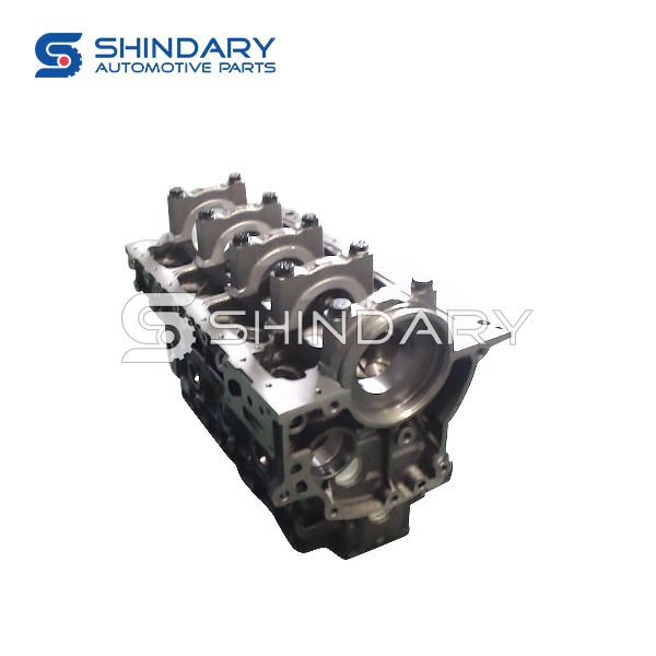 Cylinder body subassembly 1002100FA020XZB1 for JAC K250