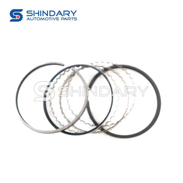 Piston ring kit LF479Q1-1004200A for LIFAN LF6401