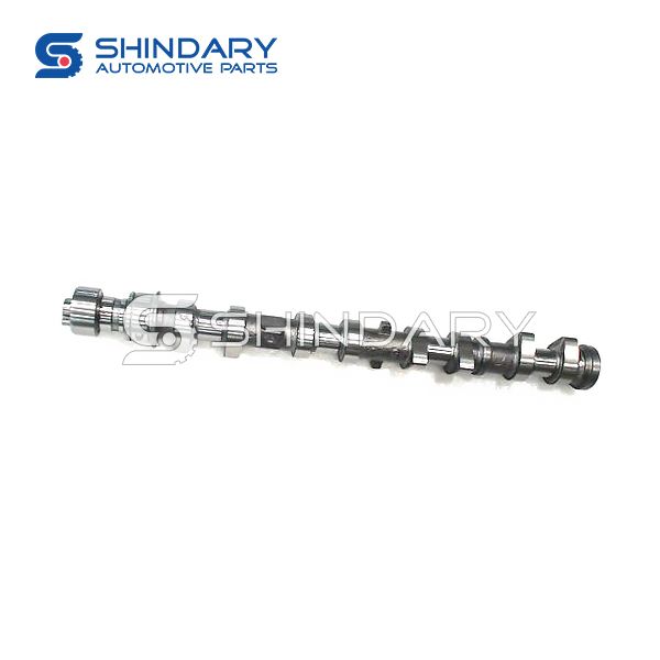 Camshaft assy exhaust LF479Q1-1006201A for LIFAN LF6401