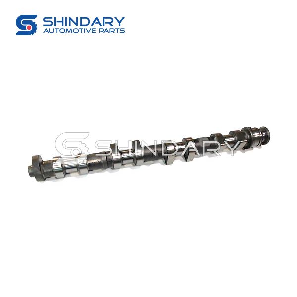 Camshaft assy Intake LF479Q5-1006101A for LIFAN LF6401