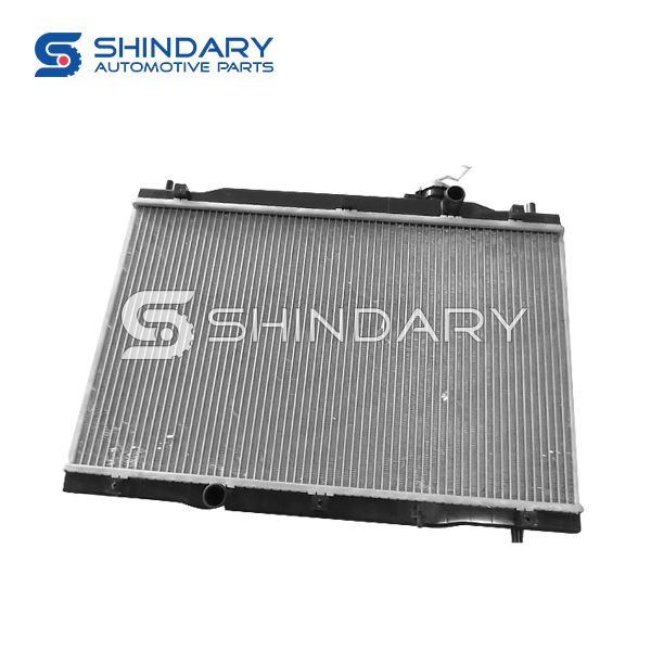 Radiator Assy M1301000 for LIFAN LF6401