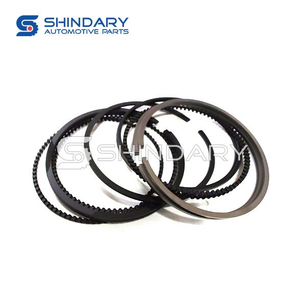 Piston ring kit 481FD-1004030 for CHERY E5