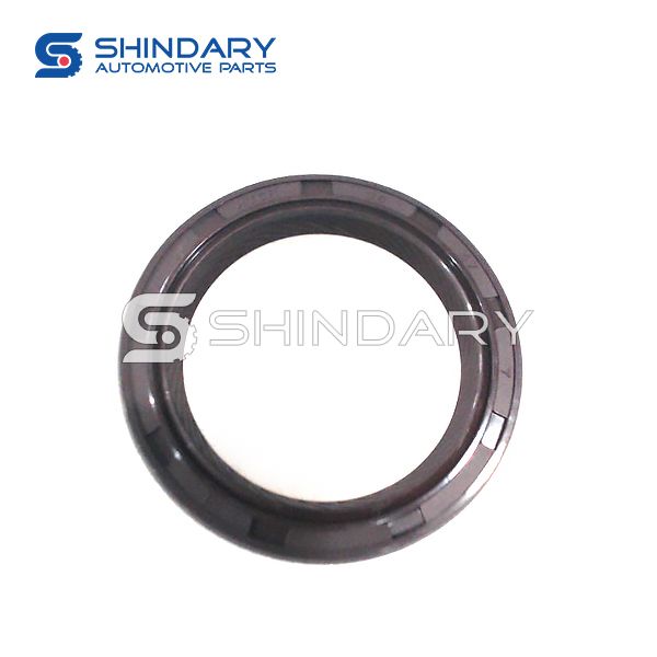 Crankshaft front seal 481H-1011020BA for CHERY E5