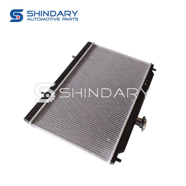 Radiator D1301100 for LIFAN SEASION