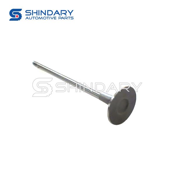 exhaust valve 477F-1007012 for CHERY J15