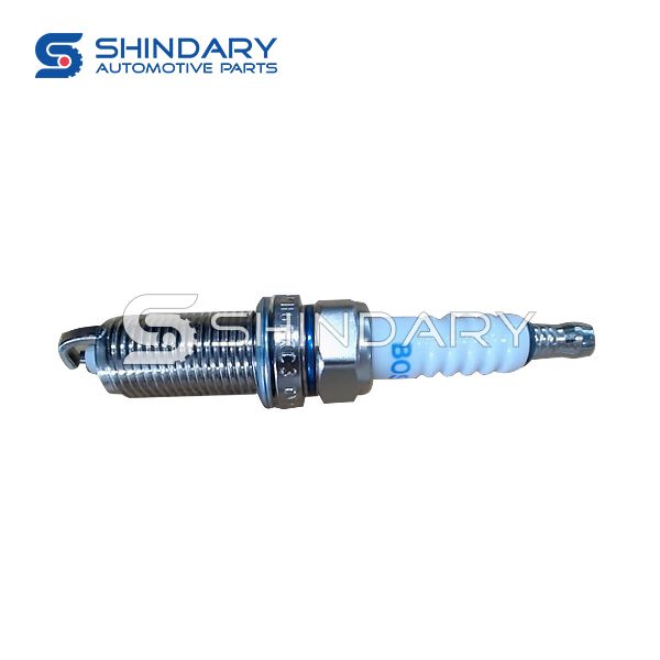 Spark Plug 2503007 for DFM