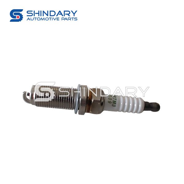 Spark Plug MN137919 for DFM