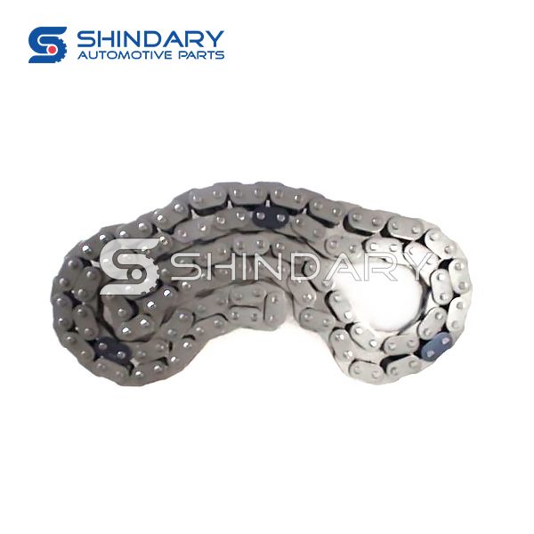 Timing chain E4W1205000008 for FOTON