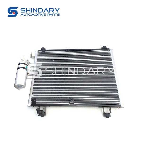 Condenser Assy 1021-8105000 for CHANGHE