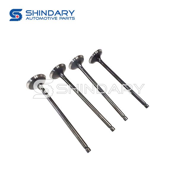 Exhaust valve 10070015-A01-B00 for BAIC