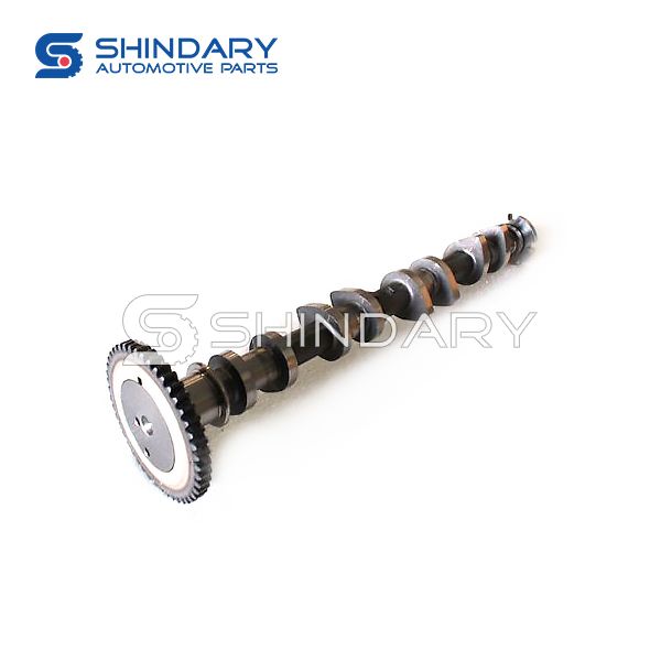 Intake camshaft 12710D73K00E000 for CHANGHE