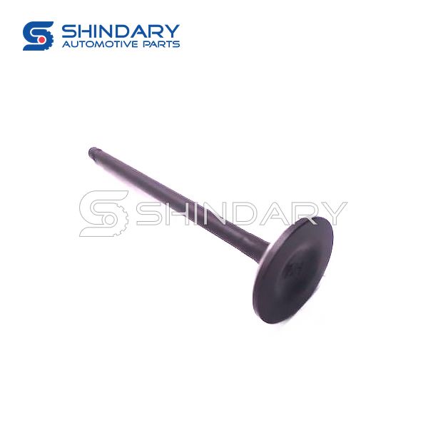 Exhaust valve K00525010 for CHANGHE