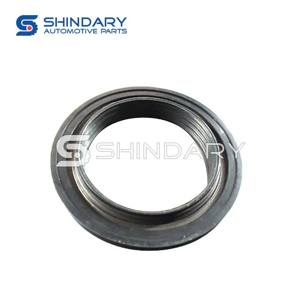 OIL SEAL 4890832 for CUMMINS