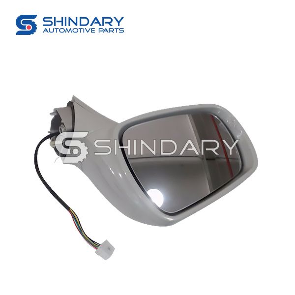 Outer mirror-L B12-8202011 for DFM JOYEAR