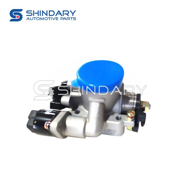 Throttle valve Assy 1000020-10110 for GONOW GA5023XXY