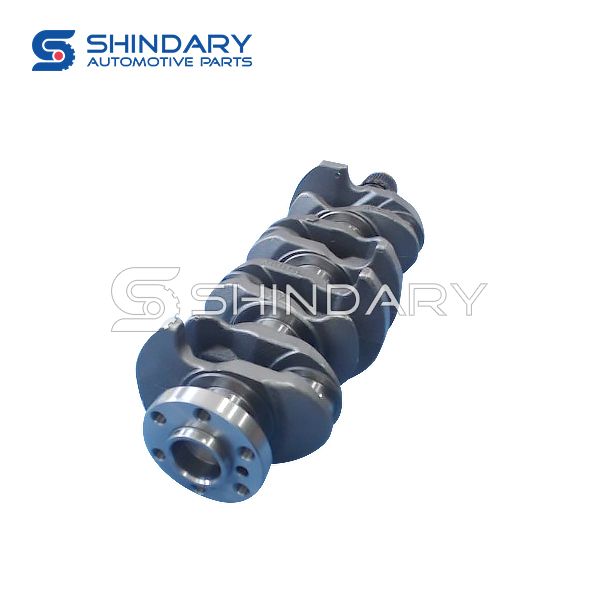 Crankshaft Assy 100503006 for ZOTYE z300