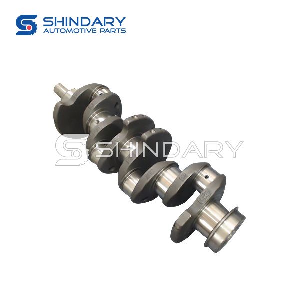 Crankshaft Assy 1006.1015 for CNJ NJP5040XXYZD33B1 2016 YN30CR