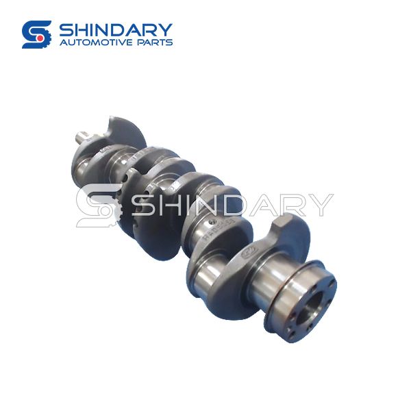 Crankshaft Assy 1006.1016 for CNJ 5T